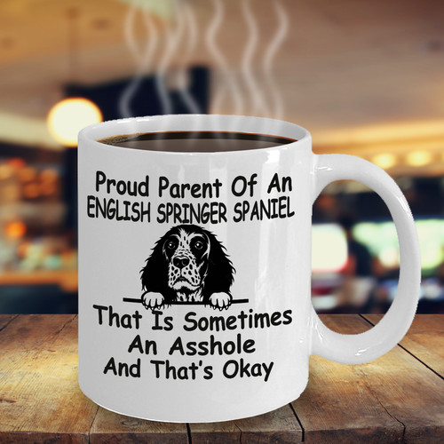 Springer spaniel inglese cane - spaniel,
