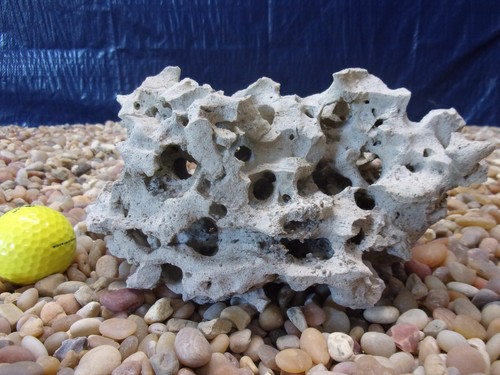 Texas holey rock - holey,