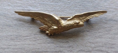 Brevetto pilota aereo - brevetto, medaglia