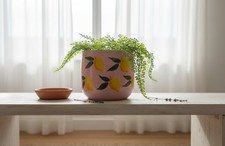 Vaso/Portapiante Ceramica Rosa Limoni Dipinto a Mano H12 D16 cm