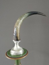 Antico corno di bue con