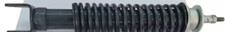 AMMORTIZZATORE POSTERIORE PIAGGIO ZIP 50 4T	2000 2001 2002 2003 2004 2005
