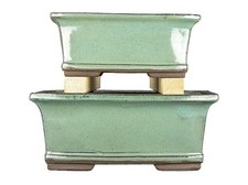Vasi per bonsai rettangolari