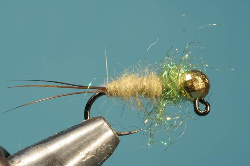 Fliegentom nymph ninfe pezzi - nymph/ninfe, 3