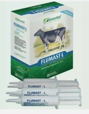  12 Candelette Bovini Ovini