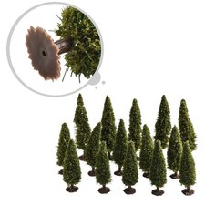 Alberi di pino in miniatura