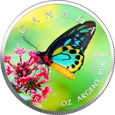 2025 canada colore rotondo - 2025,