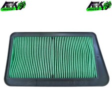 Filtro Aria per Suzuki Burgman