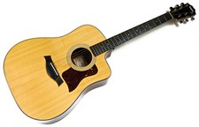 Taylor 210ce Plus Acoustic