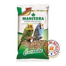 Manitoba cocorite biscuit kg - biscuit, 1