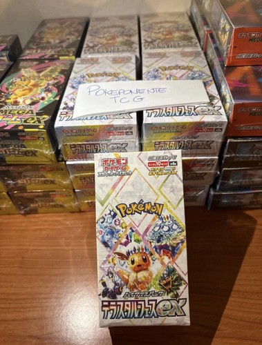 Pokemon terastal festival - festival, ex