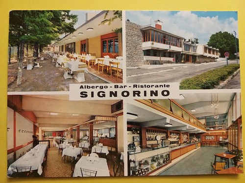 Signorino bar - signorino,