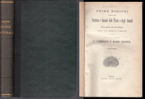 Storia naturale struttura - storia,