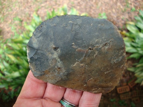 Coltello paleo super - coltello, 3