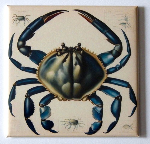 Magnete frigo granchio blu - magnete,