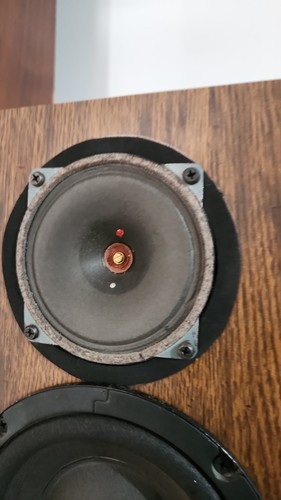 Tweeter isophone modello - tweeter, modello-hm10