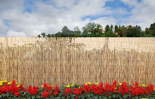 Arella in Bamboo Canniccio