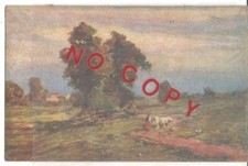 Buscaglione G. Paesaggio agreste. Autografa Tenente Ing. Aldo Santi di Vignola.