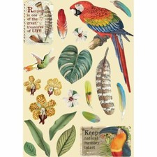 Wooden Frame Colorato Amazonia
