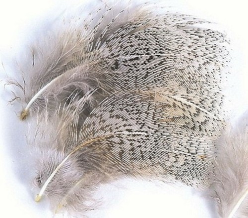 Hackles collo grigio da - hackles,
