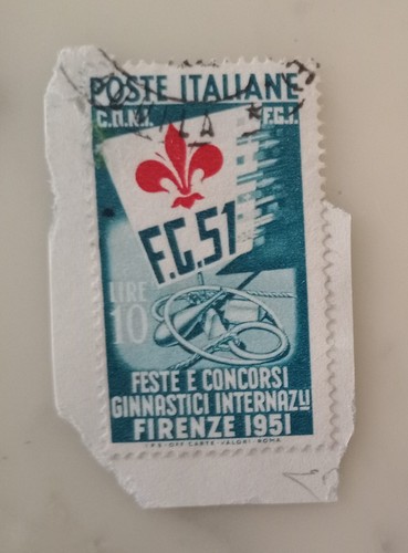 Feste concorsi ginnici - concorsi,