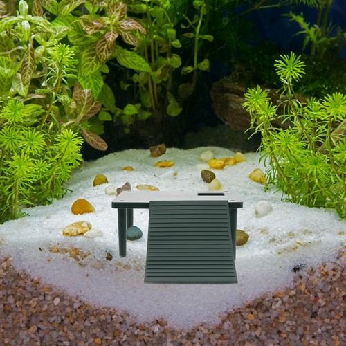 Piattaforma basking tartaruga - piattaforma,