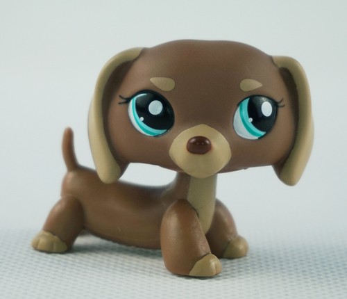 Mini pet shop - mini, marrone