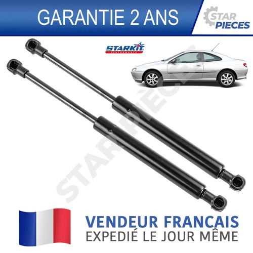 Verin ouverture coffre hayon - 2,