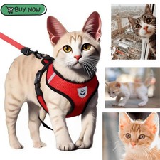 Pettorina Guinzaglio Gatto