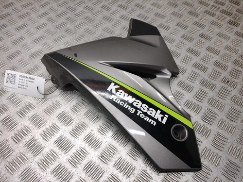 Pancia kawasaki ninja - pancia,