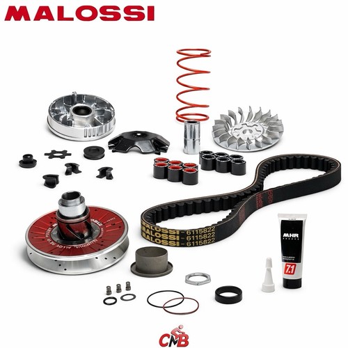Gruppo trasmissione malossi - gruppo,