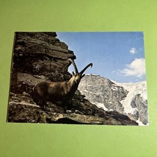 PARCO NAZIONALE DEL GRAN