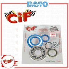 Kit Revisione Albero Motore