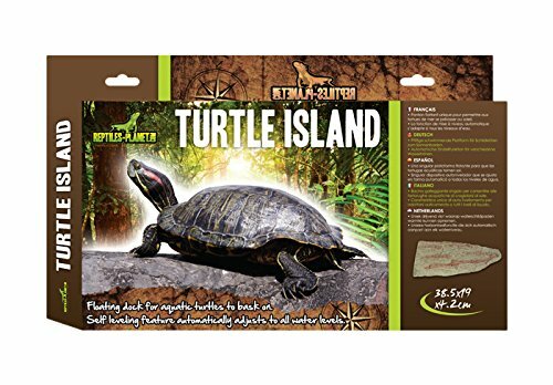 Reptiles planet tartaruga - reptiles-planet,