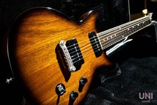 Gibson Les Paul Special doppio