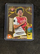 CARTE PANINI ADRENALYN XL