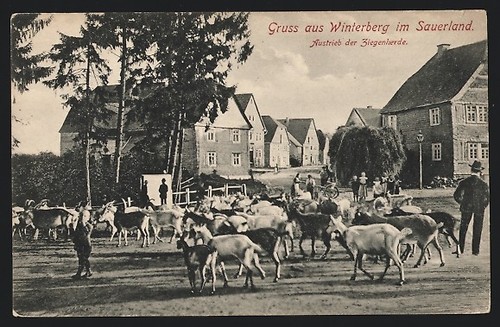 Winterberg sauerland - winterberg,
