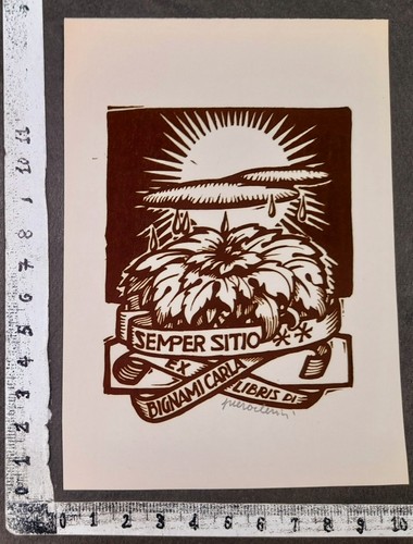 Wunderkammer exlibris 696 - pl,