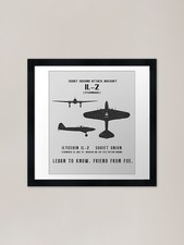 Ilyushin IL-2 Sturmovik WWII