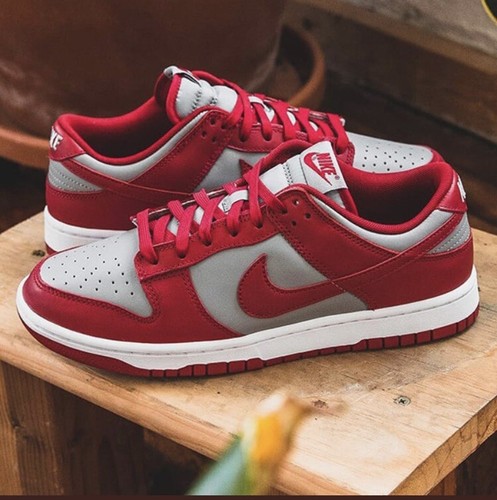 Nike dunk low - retro, medium