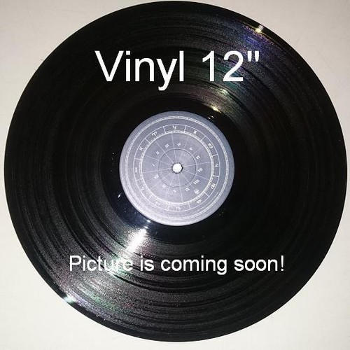 Mike anthony why can t - 12",