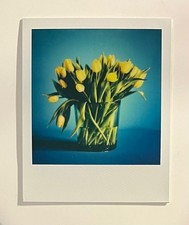 1 x Polaroid, edizione