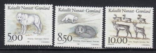 Groenlandia set lupo - groenlandia,