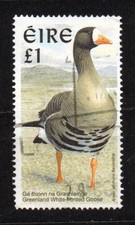IRLANSA EIRE 2002 £ 1 FAUNA UCCELLI USATO