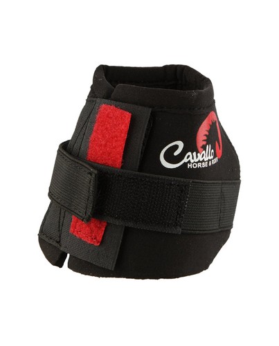 Cavallo horse rider - rider, calza