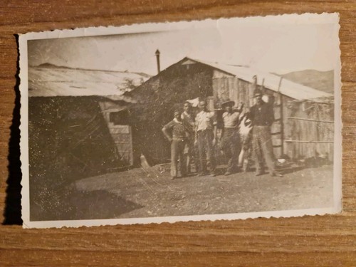 22382 foto cartolina gruppo - ,