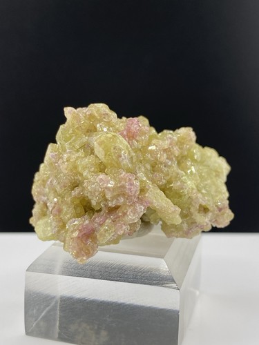 Splendida vesuvianite bicolore - splendida,