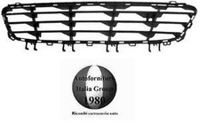 GRIGLIA CENTRALE PARAURTI