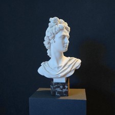 Statua Busto Testa Dio Apollo