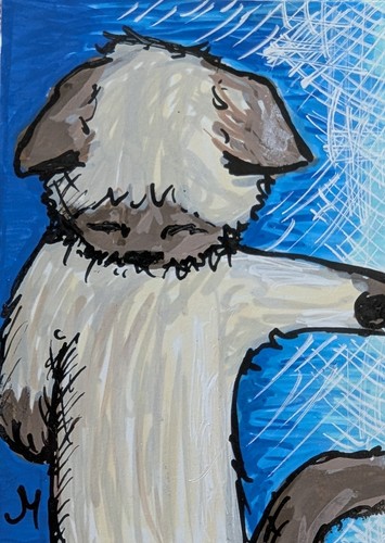 Quadro gatto siamese aceo - quadro,